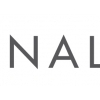 Analyste Oy logo