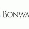 Bonware Consulting Oy logo