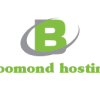 Boomond Hosting logo