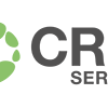CRM-service oy logo