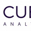Cubiq Analytics logo