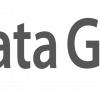 Data Group logo