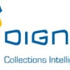 Digna IT Oy logo
