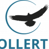 e-Sollertis Oy logo