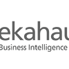 Ekahau Oy logo