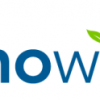 Innowise logo