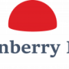 Lingonberry Island Oy logo