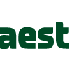 Mestro logo