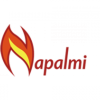 Napalmi Tietotekniikka Oy logo