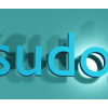 Paxsudos IT logo