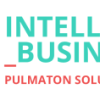 Pulmaton Solutions Oy logo