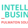 Pulmaton Solutions Oy