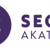 SEO-akatemia Oy logo