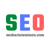 SEO Kari Nieminen