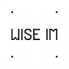 Wise IM logo