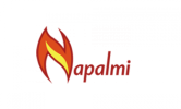 Napalmi Tietotekniikka Oy logo