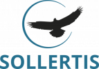 e-Sollertis Oy logo