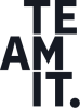 Teamit logo